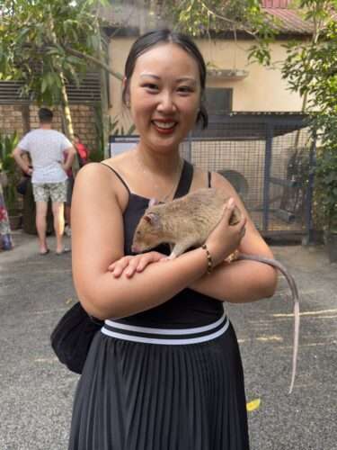 Apopo Center - Heroes Rat